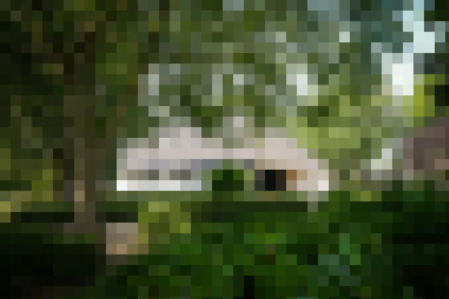 Onderweg 19 Herwijnen thumbnail 52