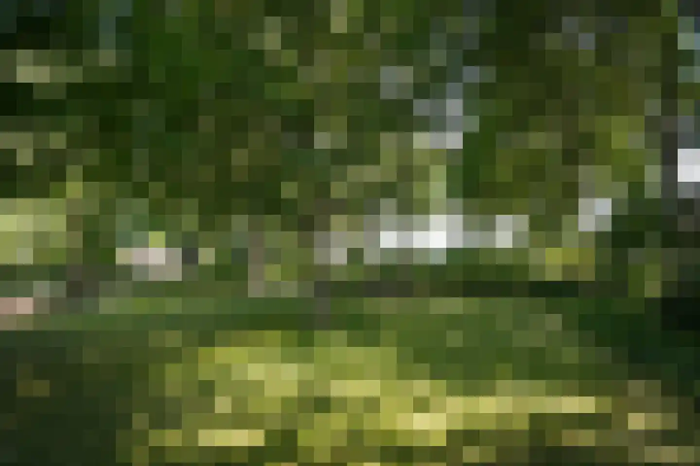 Onderweg 19 Herwijnen thumbnail 53