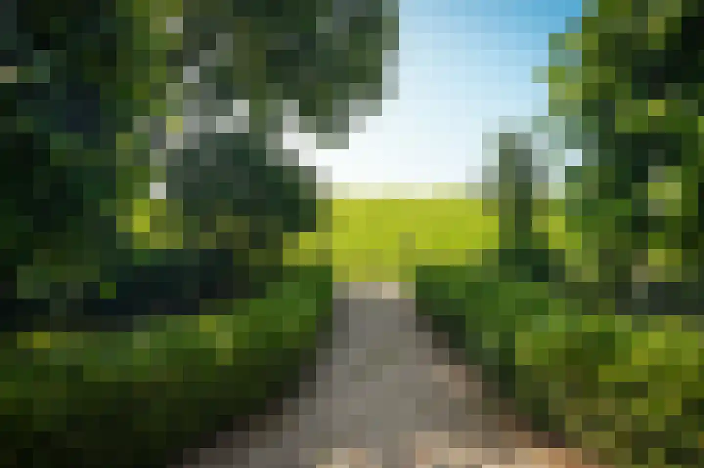 Onderweg 19 Herwijnen thumbnail 55
