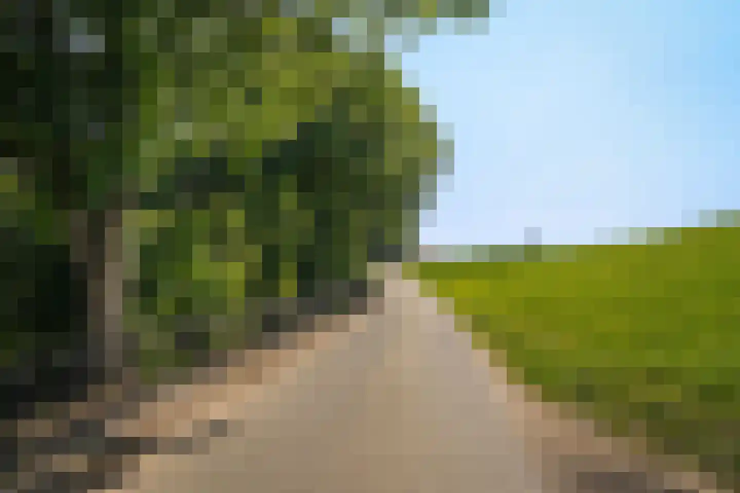 Onderweg 19 Herwijnen thumbnail 56