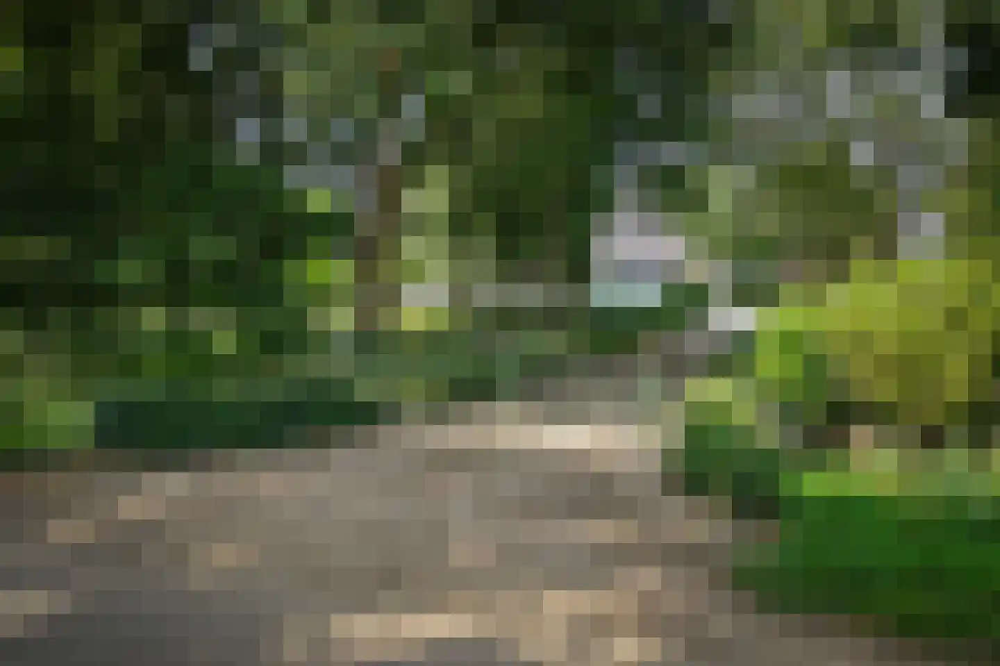Onderweg 19 Herwijnen thumbnail 6