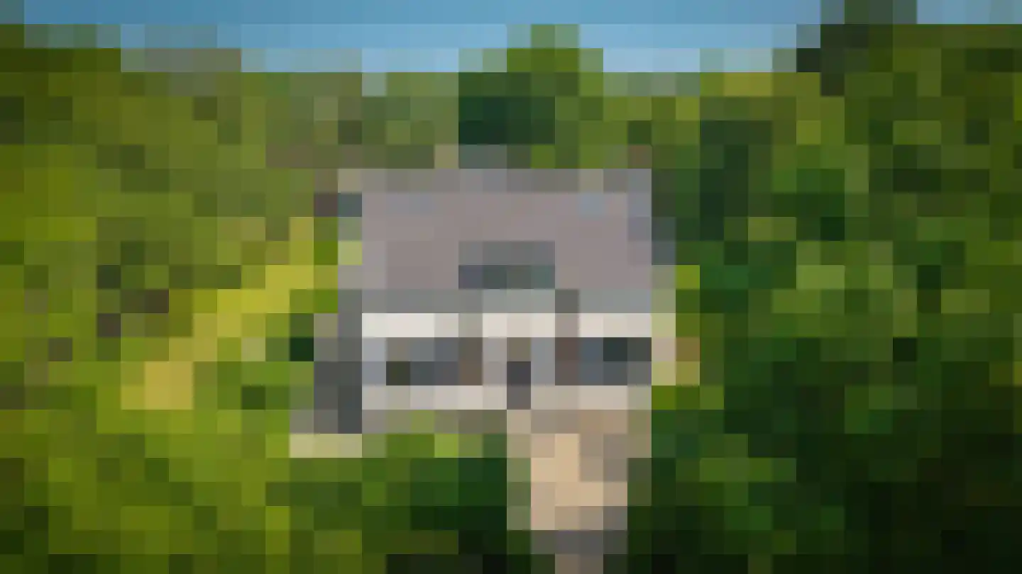 Onderweg 19 Herwijnen thumbnail 60