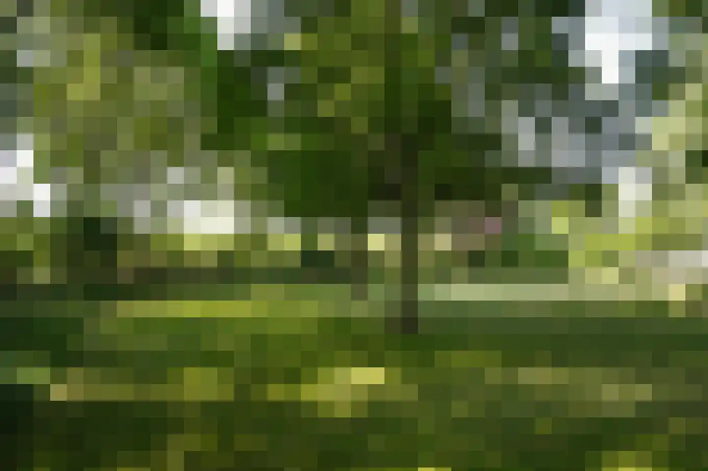 Onderweg 19 Herwijnen thumbnail 7