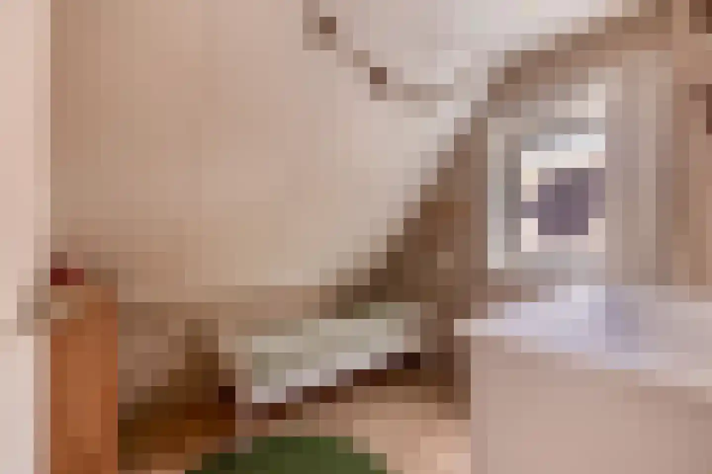 Onderweg 19 Koudum thumbnail 25