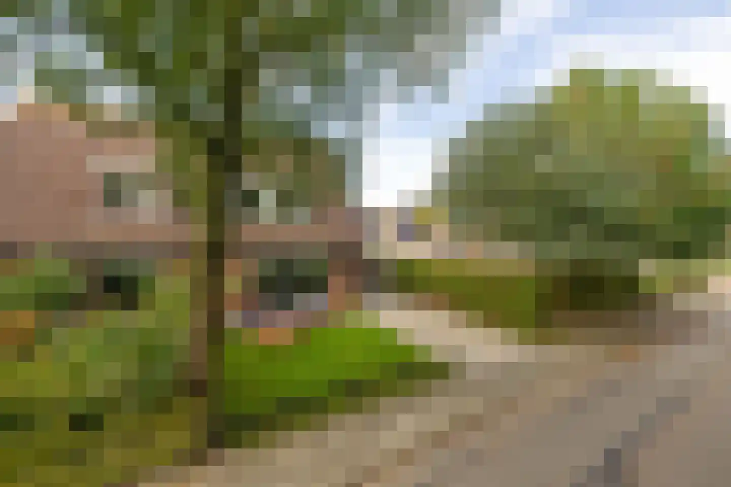 Onderweg 19 Koudum thumbnail 36