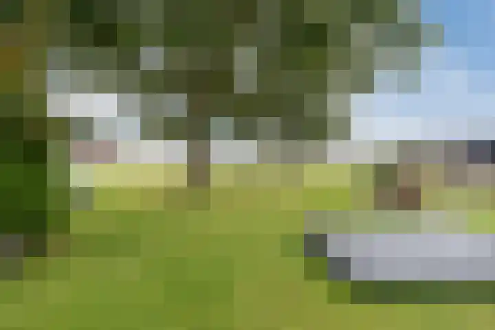 Onderweg 28 Waddinxveen thumbnail 28