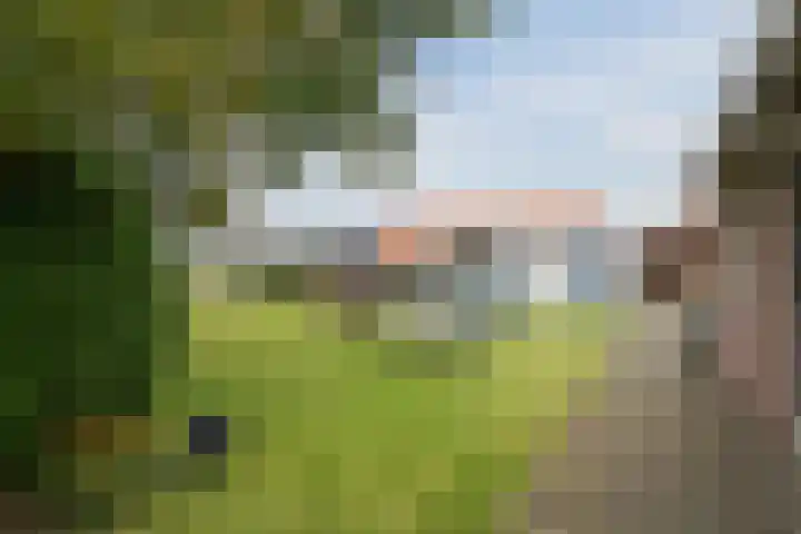 Onderweg 28 Waddinxveen thumbnail 29