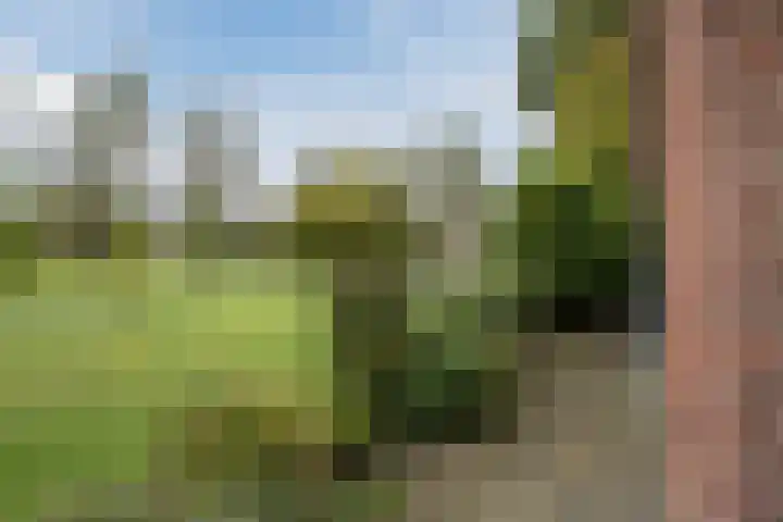Onderweg 28 Waddinxveen thumbnail 30