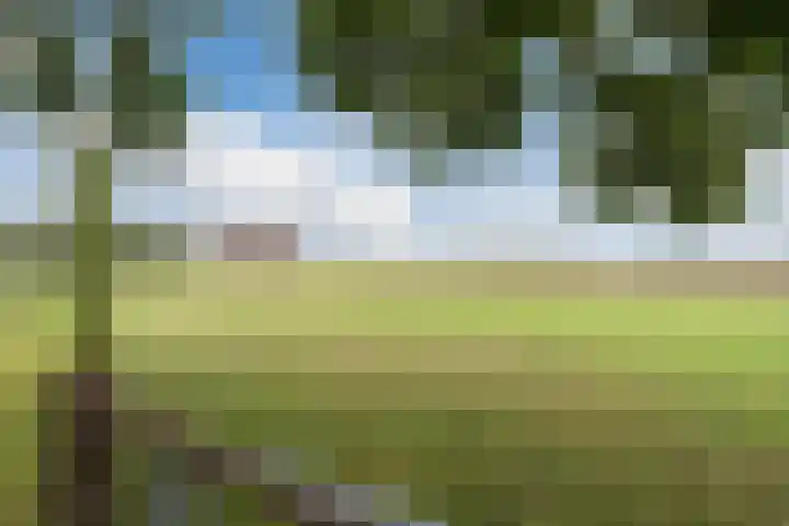 Onderweg 28 Waddinxveen thumbnail 4