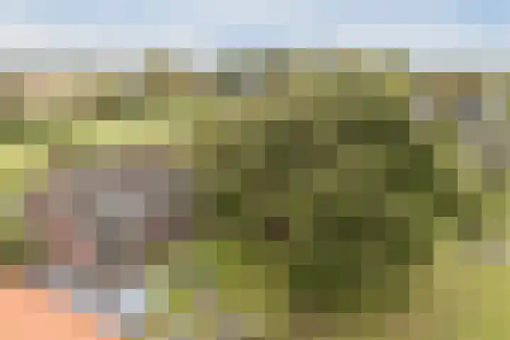 Onderweg 28 Waddinxveen thumbnail 6