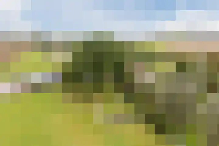 Onderweg 28 Waddinxveen thumbnail 7