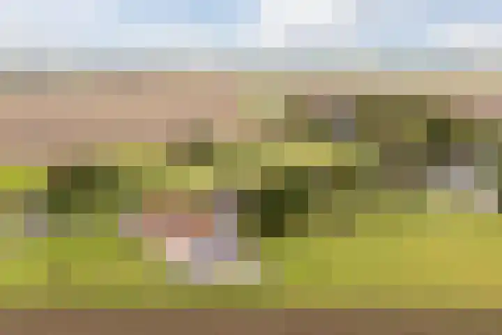 Onderweg 28 Waddinxveen thumbnail 8