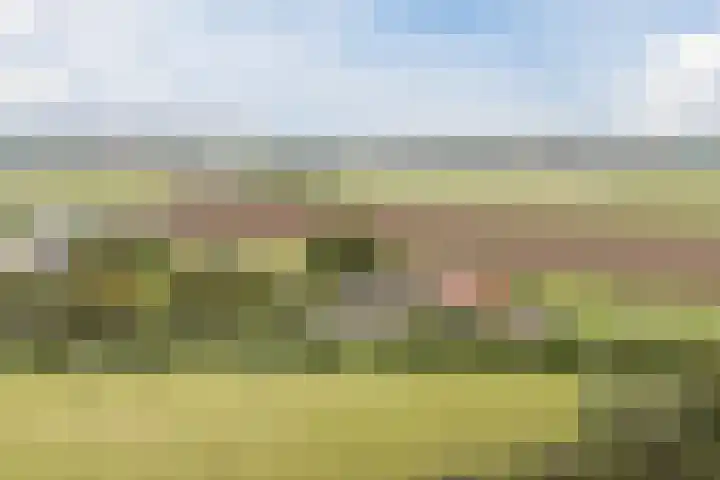 Onderweg 28 Waddinxveen thumbnail 9