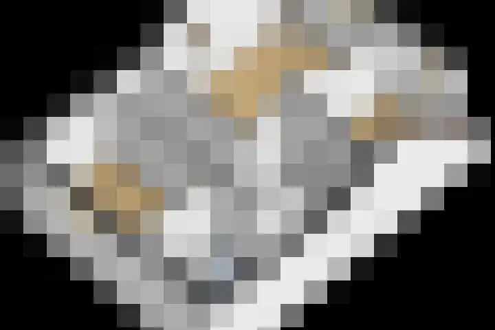 Onderweg 29 Waddinxveen thumbnail 27