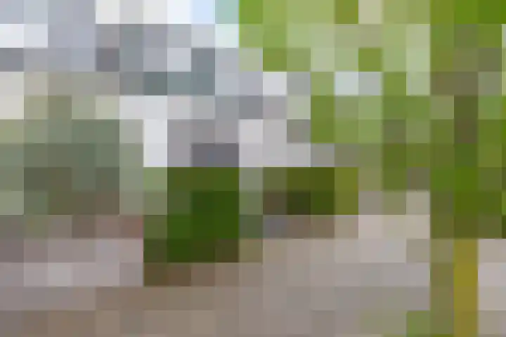 Onderweg 29 Waddinxveen thumbnail 6