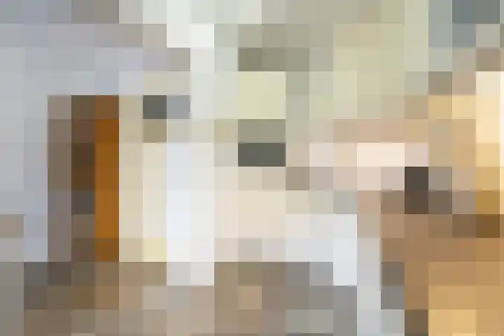 Onderweg 37 Arkel thumbnail 24