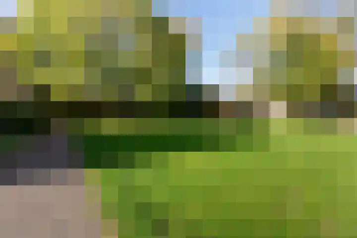 Onderweg 37 Arkel thumbnail 31