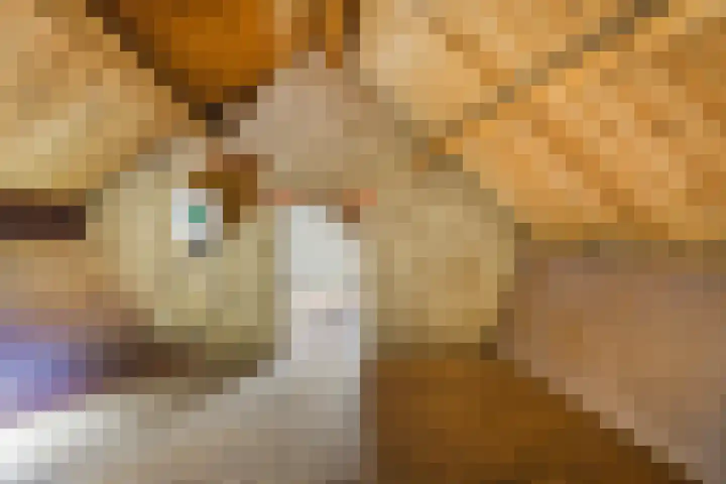 Onderweg 37 Arkel thumbnail 37