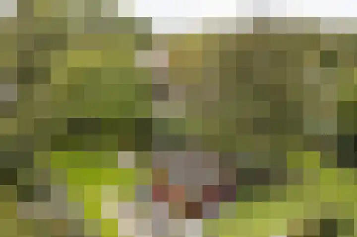 Onderweg 37 Arkel thumbnail 42