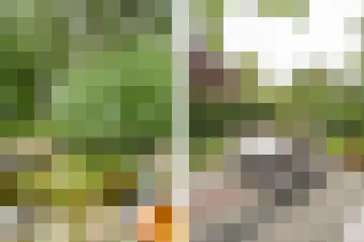 Onderweg 37 Arkel thumbnail 44