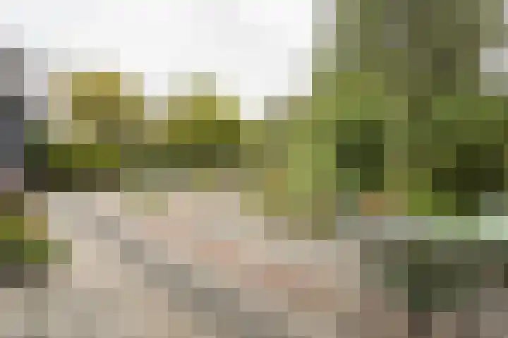 Onderweg 37 Arkel thumbnail 47