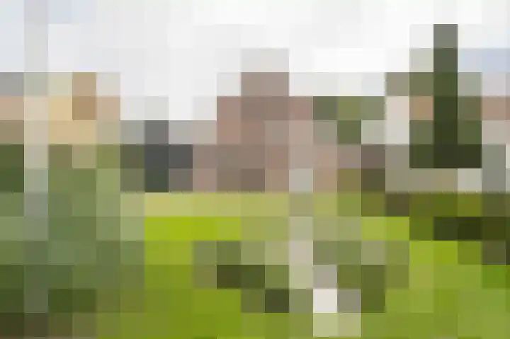 Onderweg 37 Arkel thumbnail 5