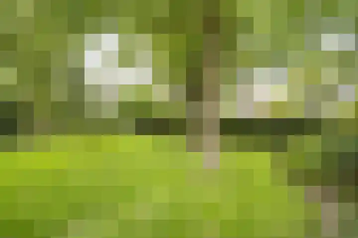 Onderweg 37 Arkel thumbnail 53