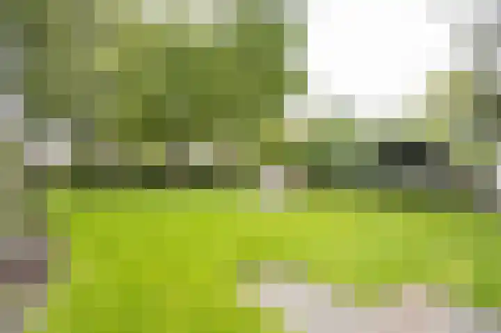 Onderweg 37 Arkel thumbnail 54