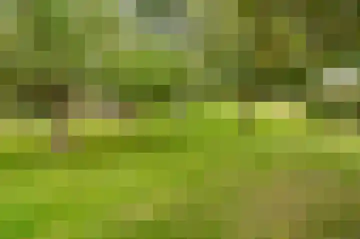 Onderweg 37 Arkel thumbnail 59