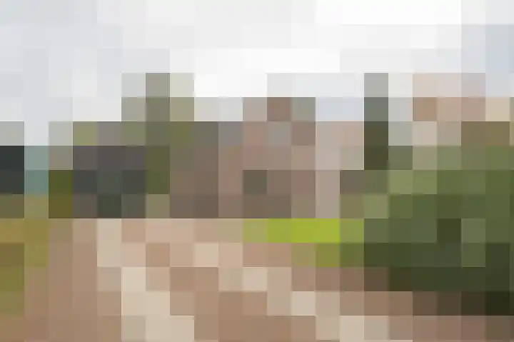 Onderweg 37 Arkel thumbnail 60