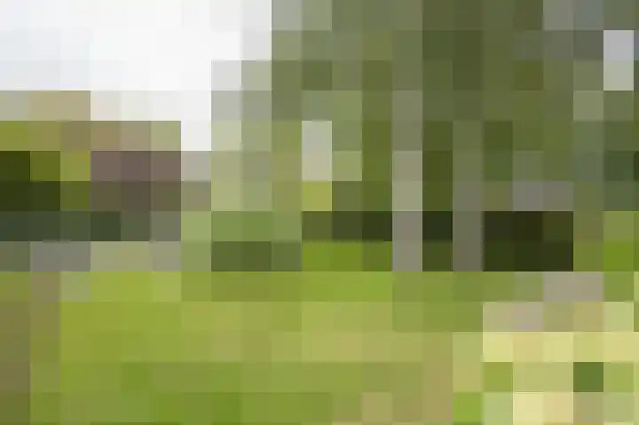 Onderweg 37 Arkel thumbnail 7