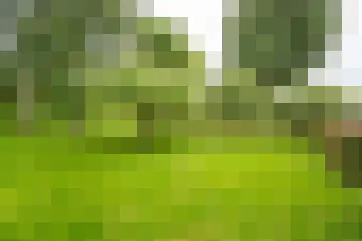Onderweg 37 Arkel thumbnail 8