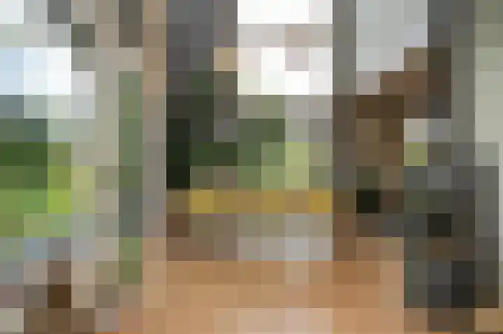 Onderweg 4 Kedichem thumbnail 10