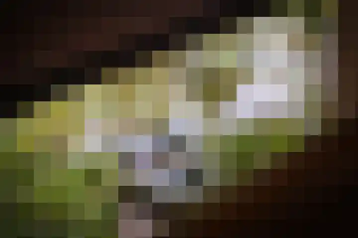 Onderweg 4 Kedichem thumbnail 27