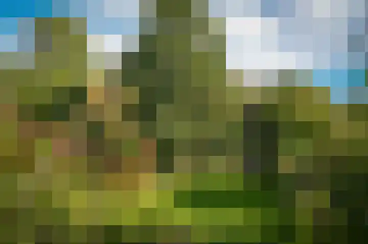 Onderweg 4 Kedichem thumbnail 38