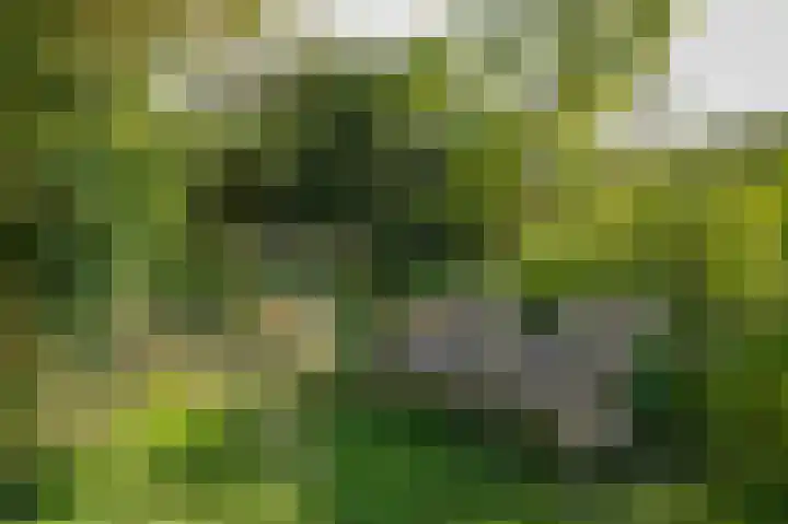 Onderweg 4 Kedichem thumbnail 40