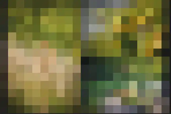 Onderweg 4 Kedichem thumbnail 41
