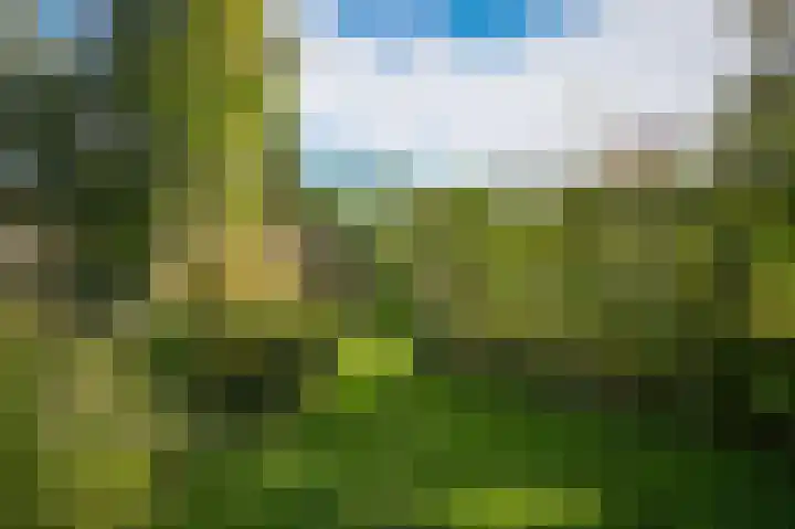 Onderweg 4 Kedichem thumbnail 42