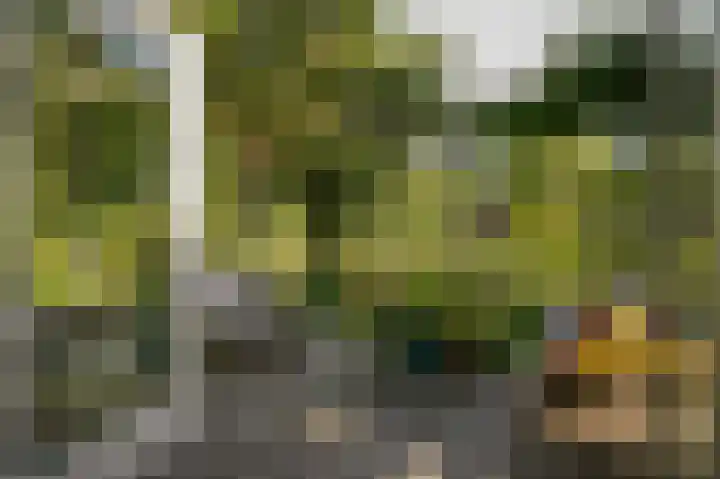 Onderweg 4 Kedichem thumbnail 45