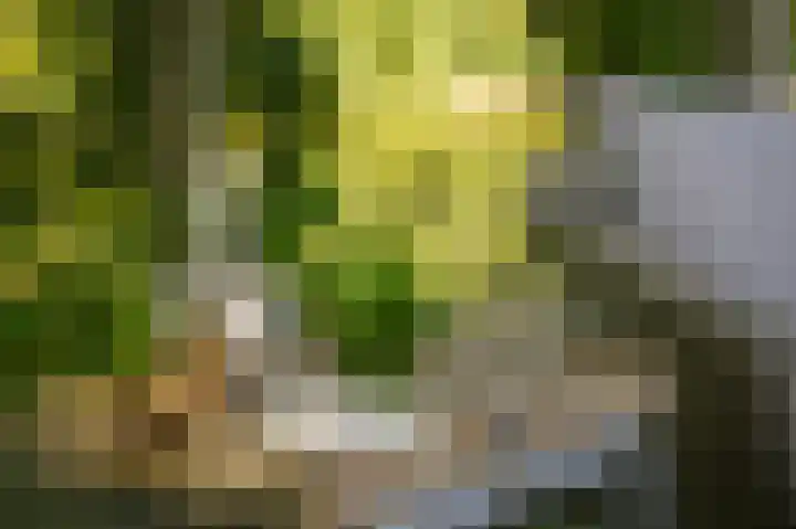 Onderweg 4 Kedichem thumbnail 46