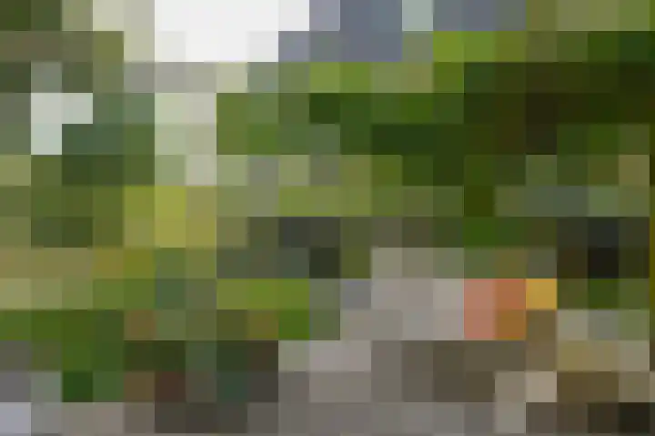 Onderweg 4 Kedichem thumbnail 52