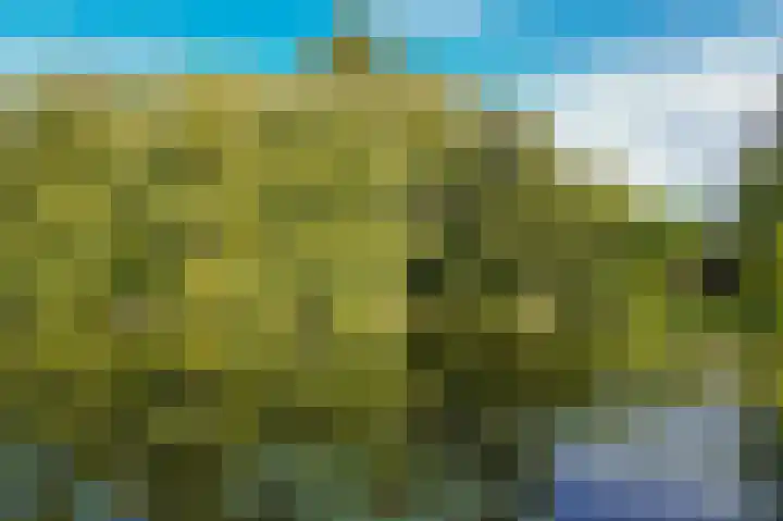 Onderweg 4 Kedichem thumbnail 53