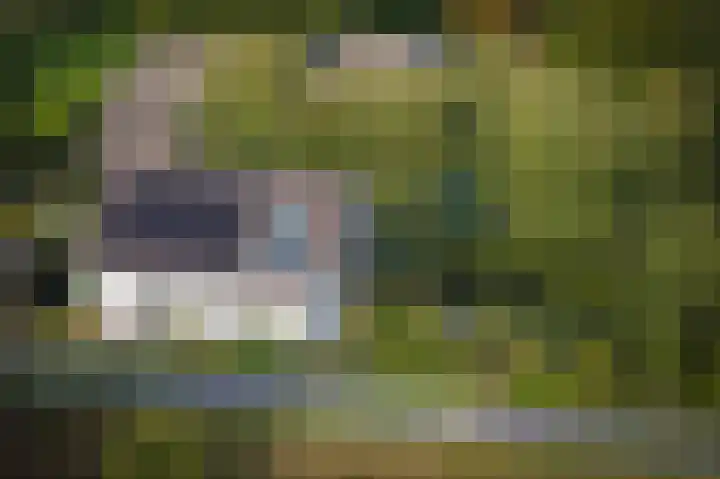 Onderweg 4 Kedichem thumbnail 63