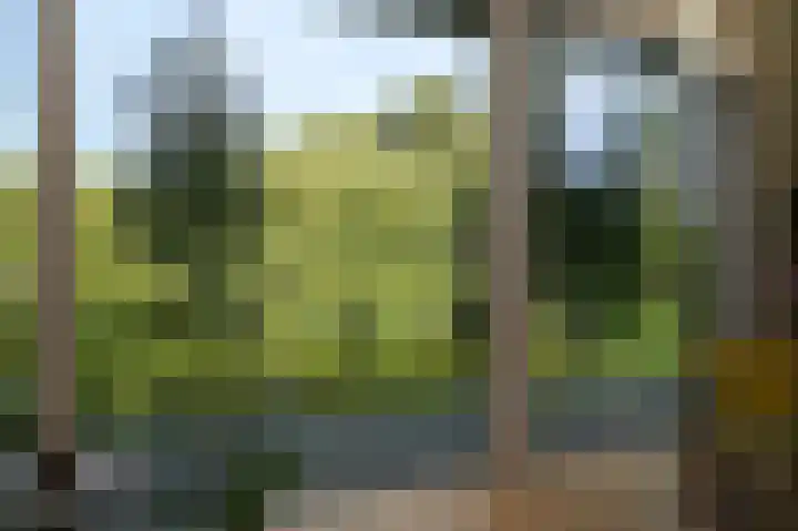 Onderweg 4 Kedichem thumbnail 7