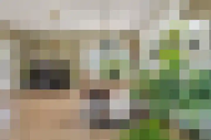 Onderweg 45 Arkel thumbnail 10