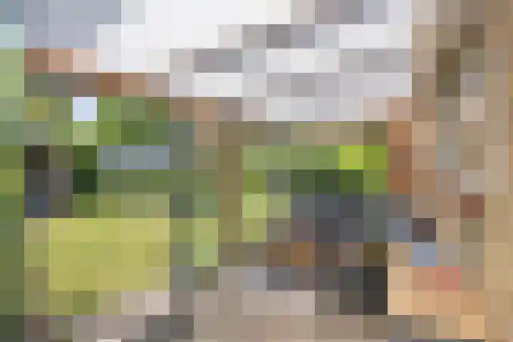 Onderweg 45 Arkel thumbnail 15