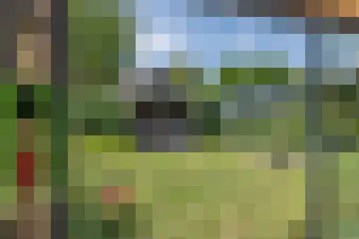 Onderweg 45 Arkel thumbnail 16
