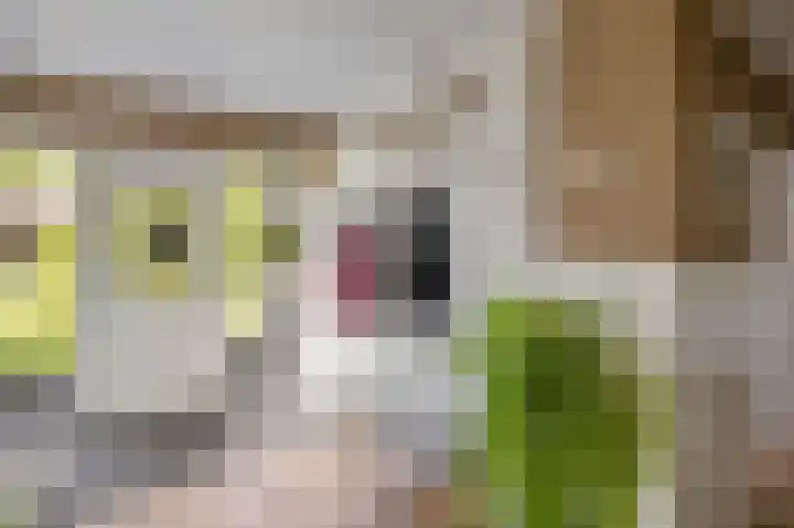 Onderweg 45 Arkel thumbnail 24