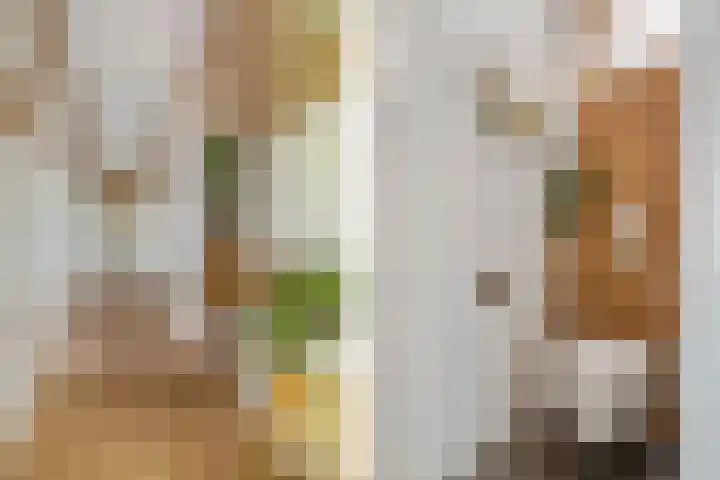 Onderweg 45 Arkel thumbnail 25
