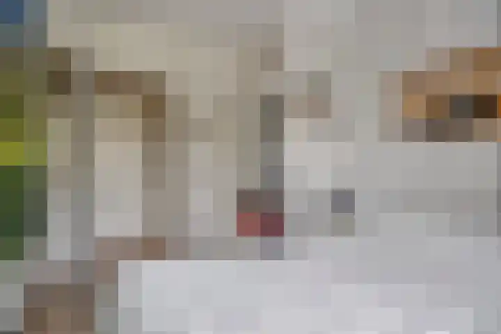 Onderweg 45 Arkel thumbnail 33